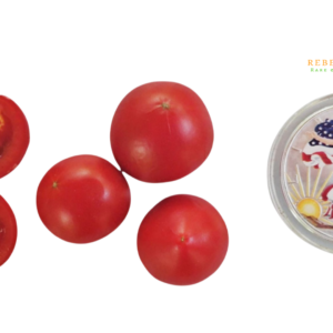 Tiny Totem Micro Tomato