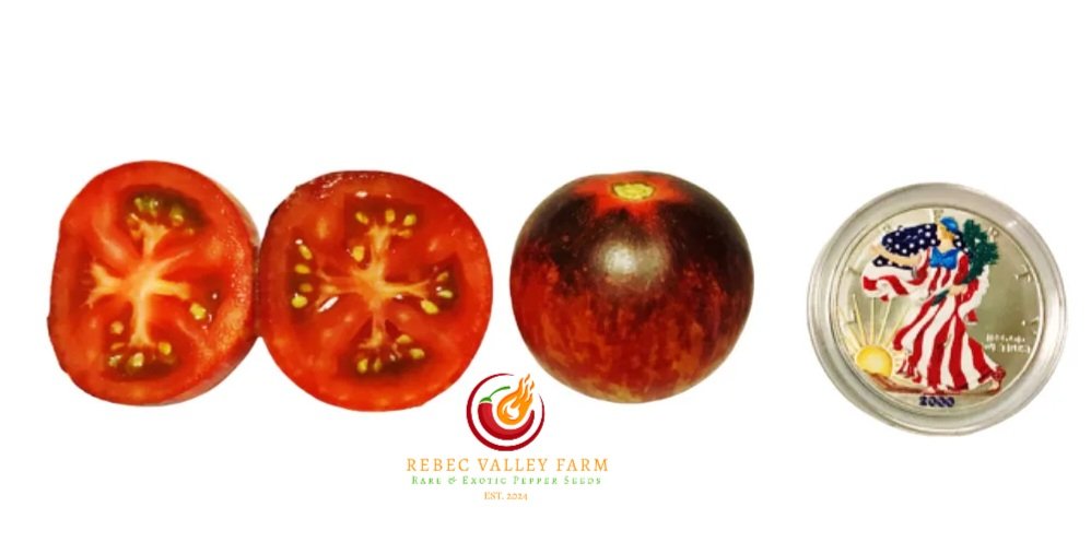 Queen of the Night Tomato