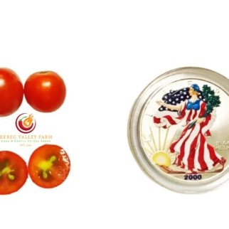 Rapunzel Cherry Tomato