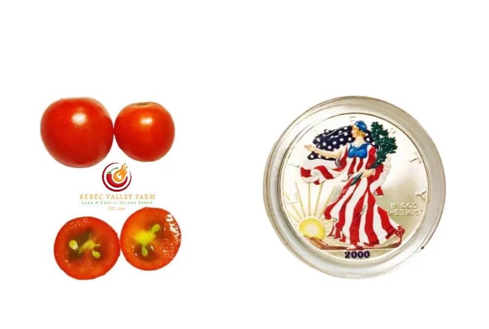 Rapunzel Cherry Tomato