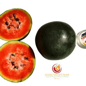 Sugar Baby Watermelon