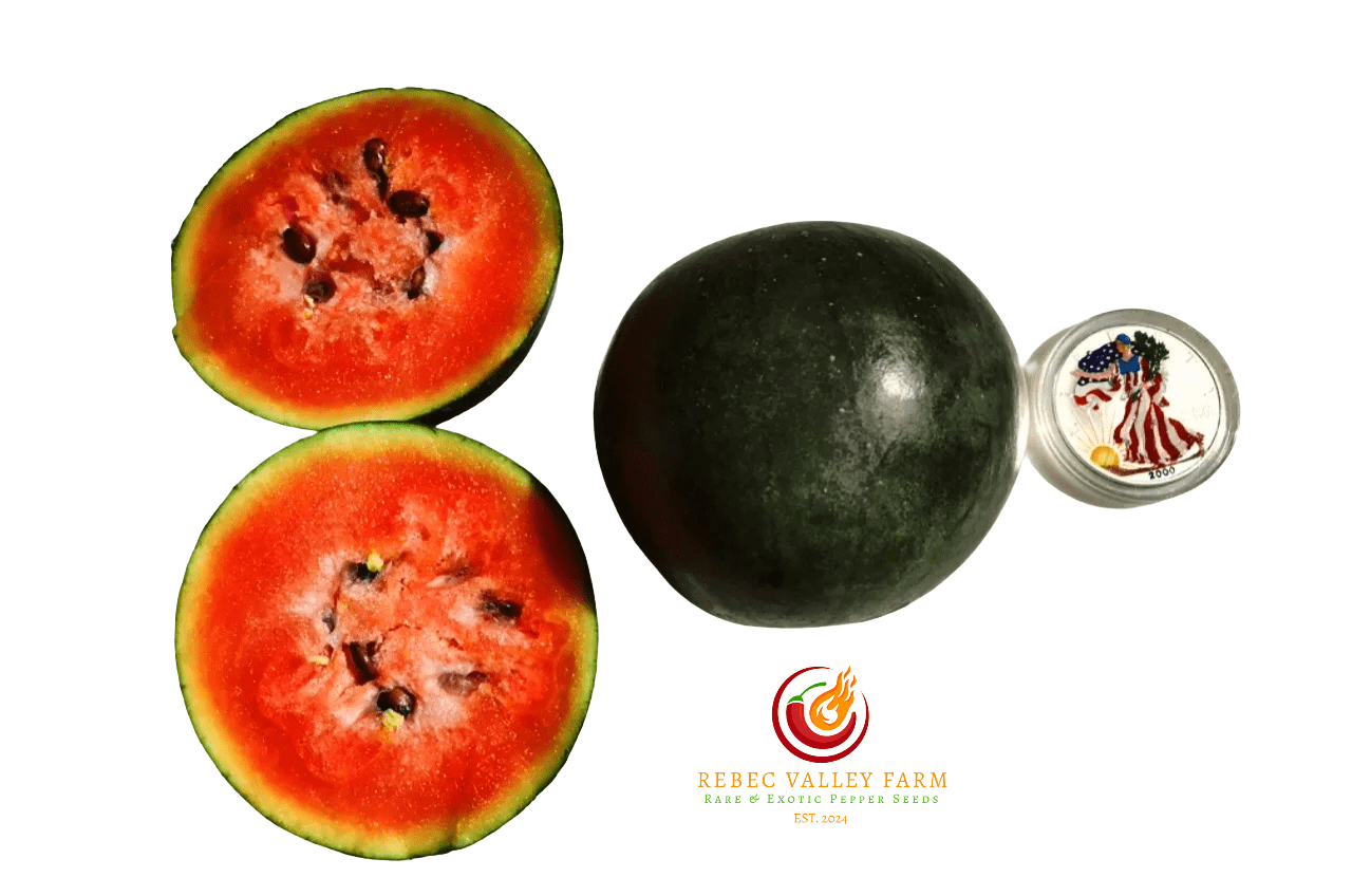 Sugar Baby Watermelon