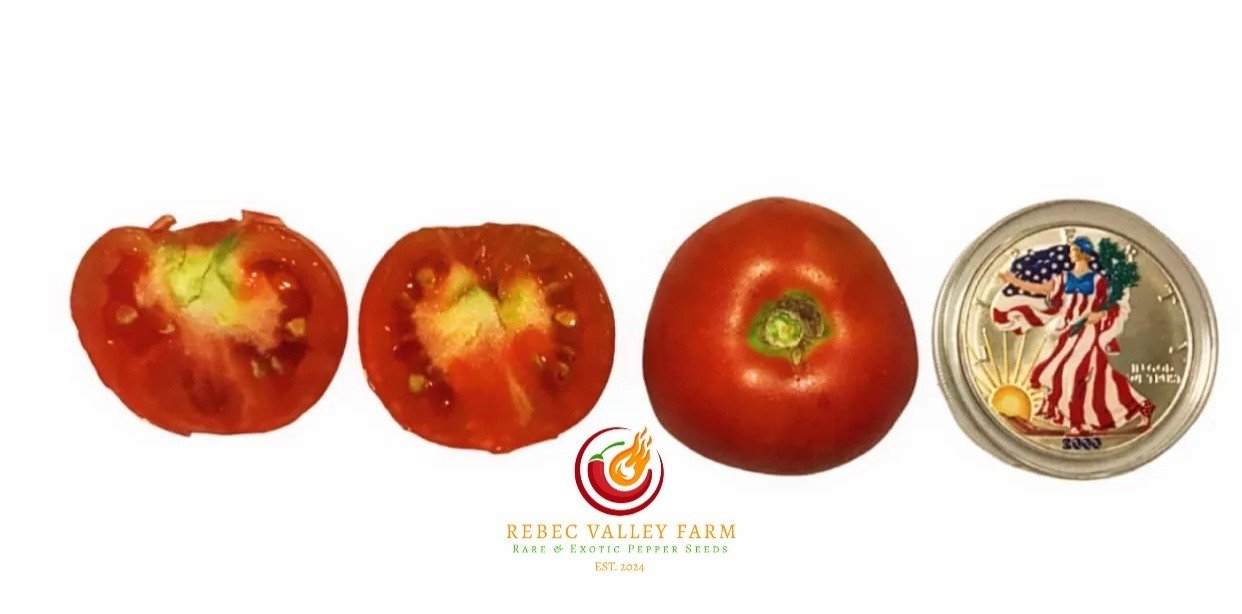 Sutton's Peach Blow Tomato