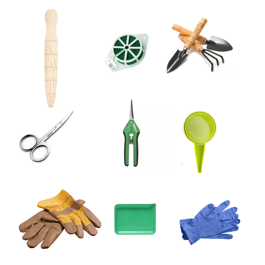 Garden Tools & Accessories