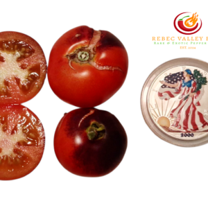 Black Patio Micro Dwarf Tomato