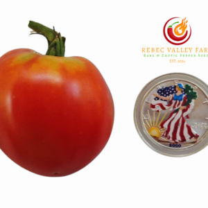 Judy's Good Heart Tomato