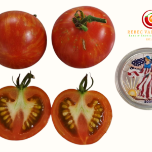 Norwood Meiners Tomato