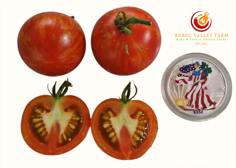 Norwood Meiners Tomato