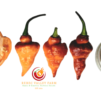 Bolivian Bumpy Carmen Pepper