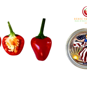 Buy Fairy Light Pepper seeds