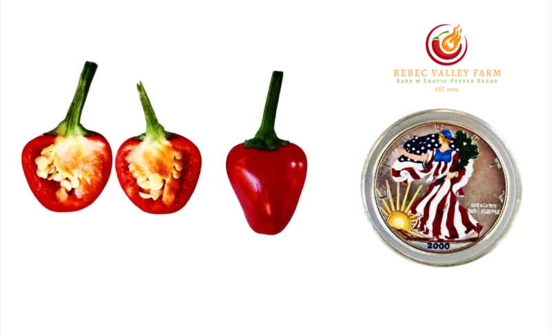 Buy Fairy Light Pepper seeds