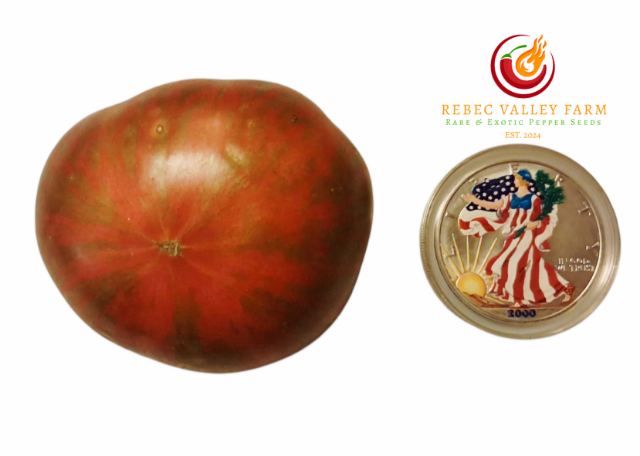 Dwarf Fred's Tie Dye Tomato - Image 2