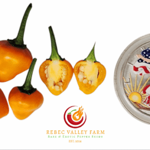 Golden Nugget Variegated Hot Pepper Seeds