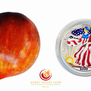 Princess of Gothic Tomato