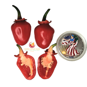 Bleeding Red-Headed Stepchild Pepper
