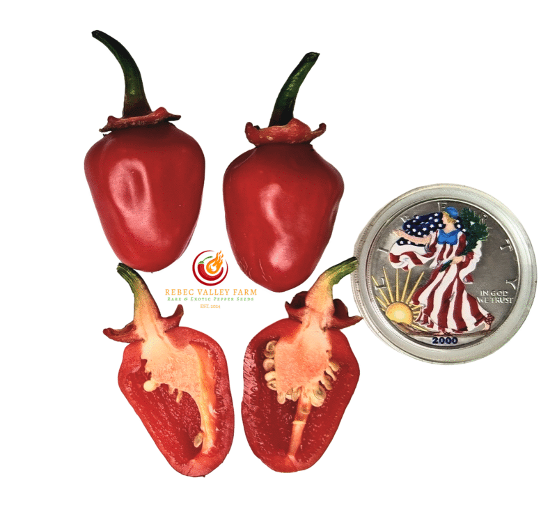 Bleeding Red-Headed Stepchild Pepper