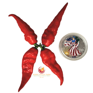 Arrowhead Pepper