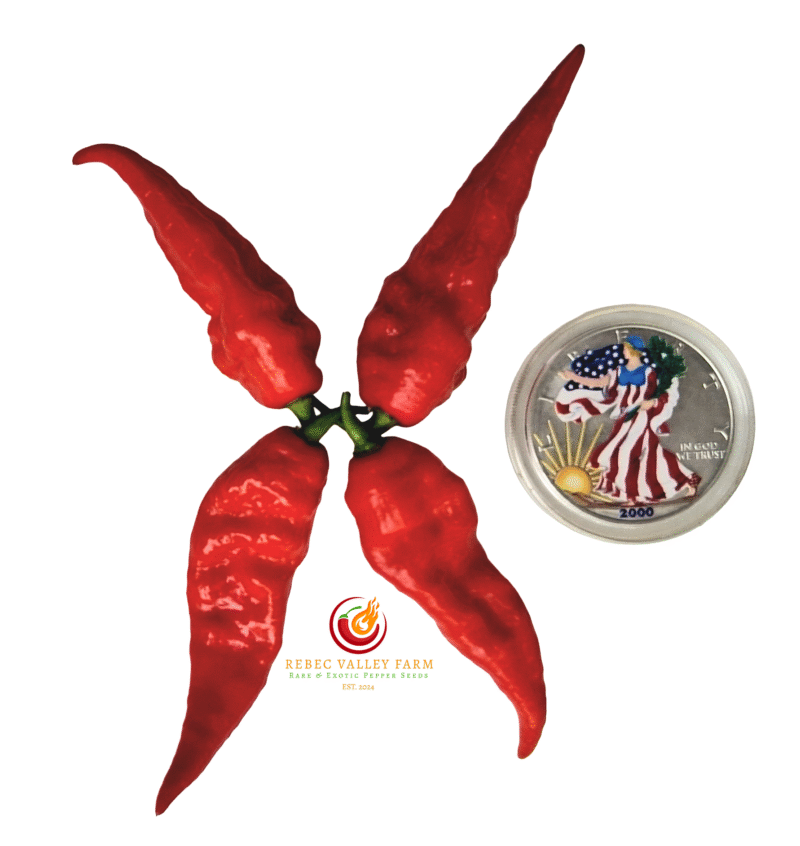 Arrowhead Pepper