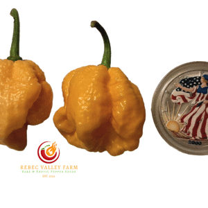 7 Pot Primo Yellow Pepper