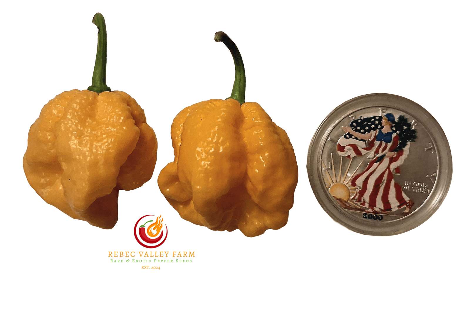 7 Pot Primo Yellow Pepper