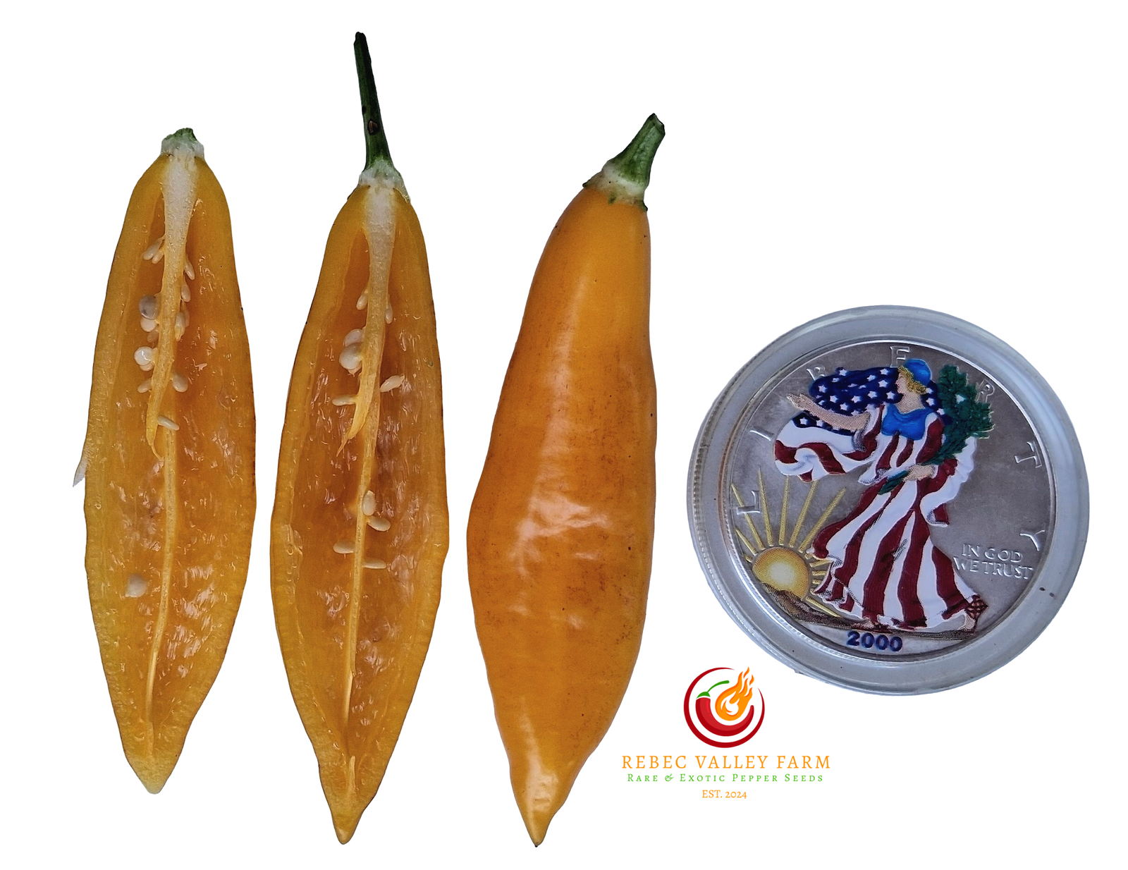 Aji Challuaruro Pepper