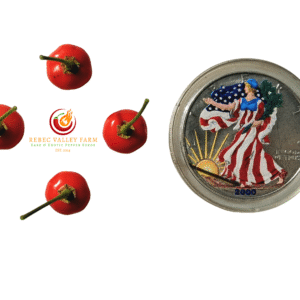 Aji Charapita Red Pepper