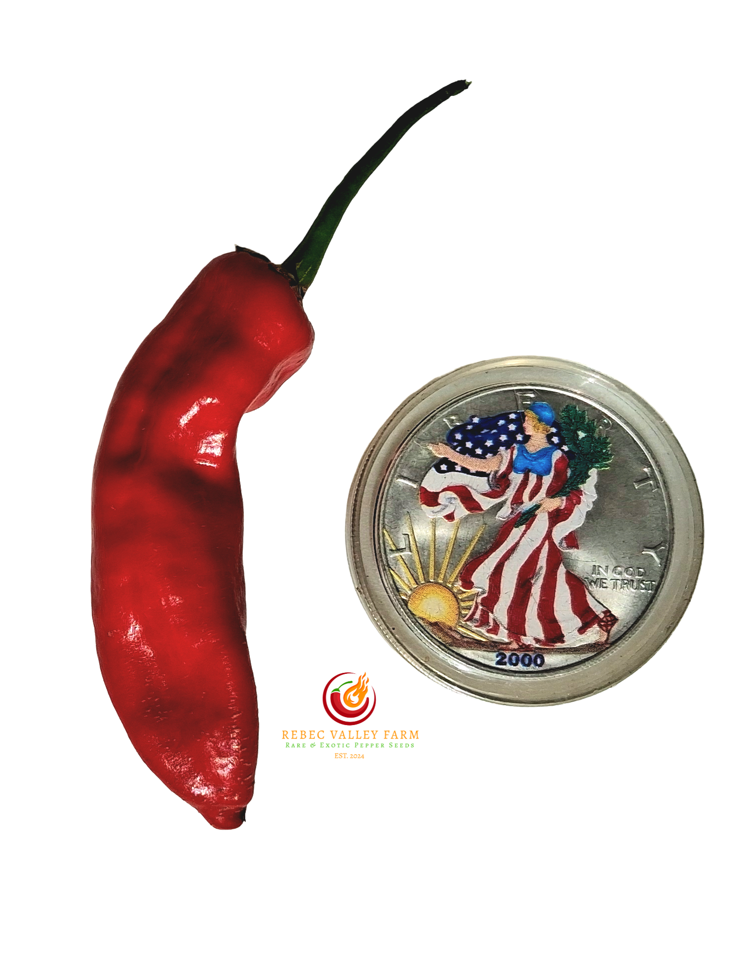 Aji Colorado Pepper - Image 2
