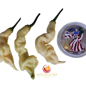 Aji White Lightning Bolt Pepper