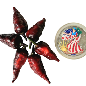 Black Panther Pepper