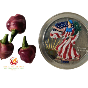 Black Peach Chupetinho Pepper