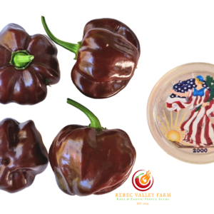 Chocolate Scotch Bonnet Pepper