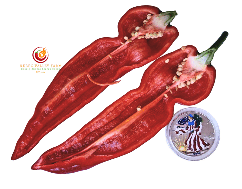 Cubanelle Pepper - Image 2