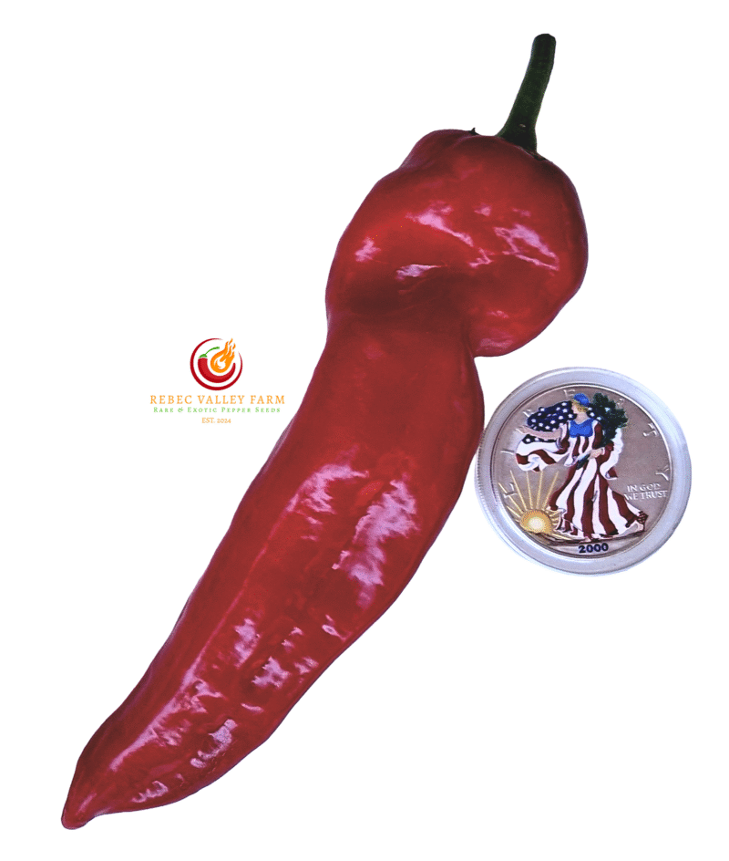 Cubanelle Pepper