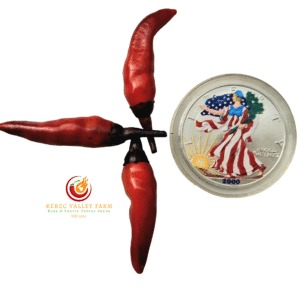 Dark Rio De Lavas Pepper