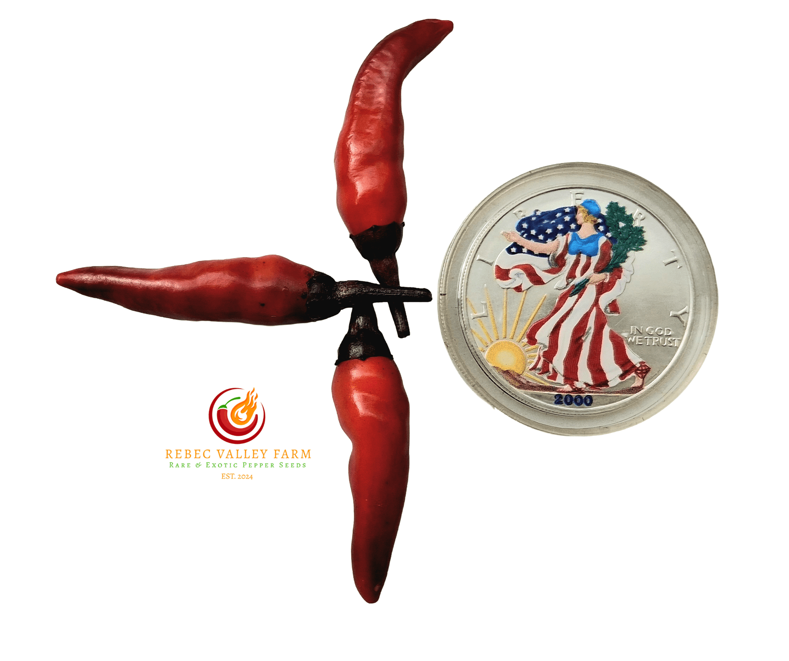 Dark Rio De Lavas Pepper