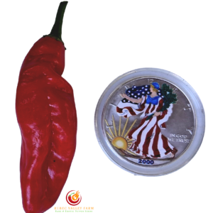 Devil's Tongue Red Pepper