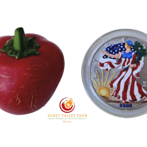 Dieghito Jalapeno Pepper