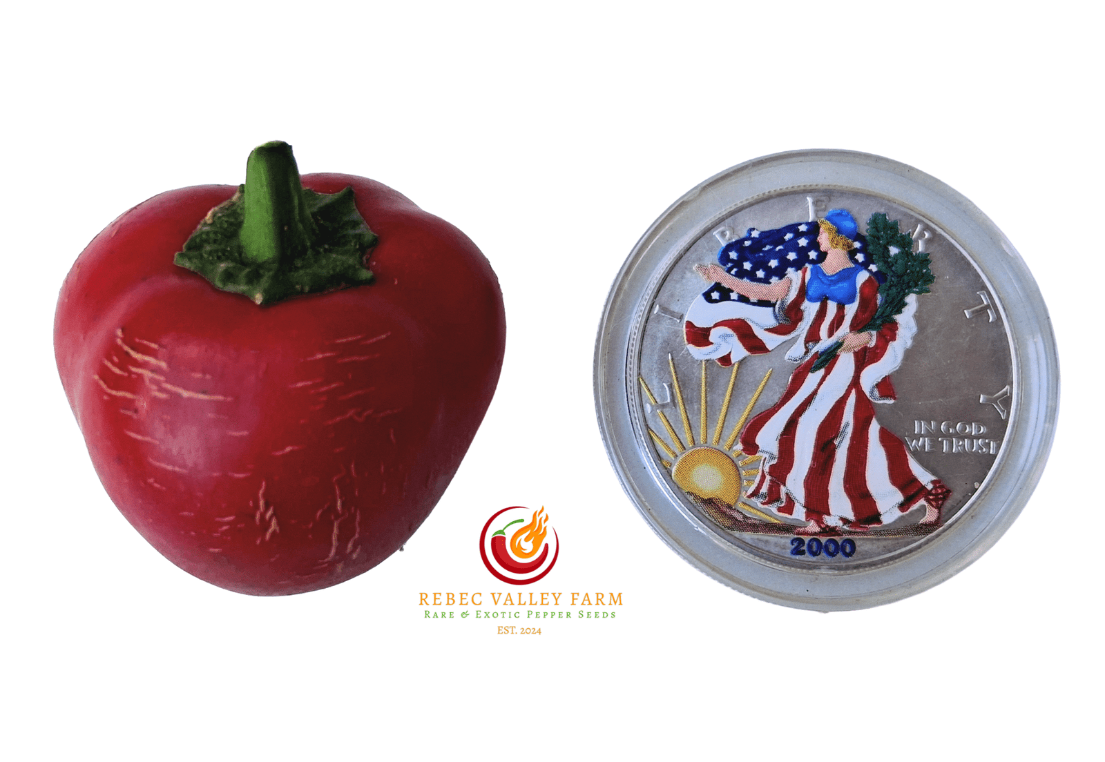 Dieghito Jalapeno Pepper