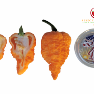 Fried Chicken Pepper seeds