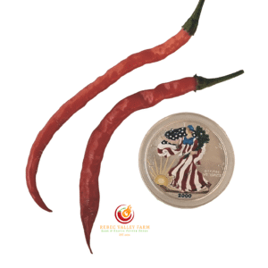 Himo Togarashi Pepper