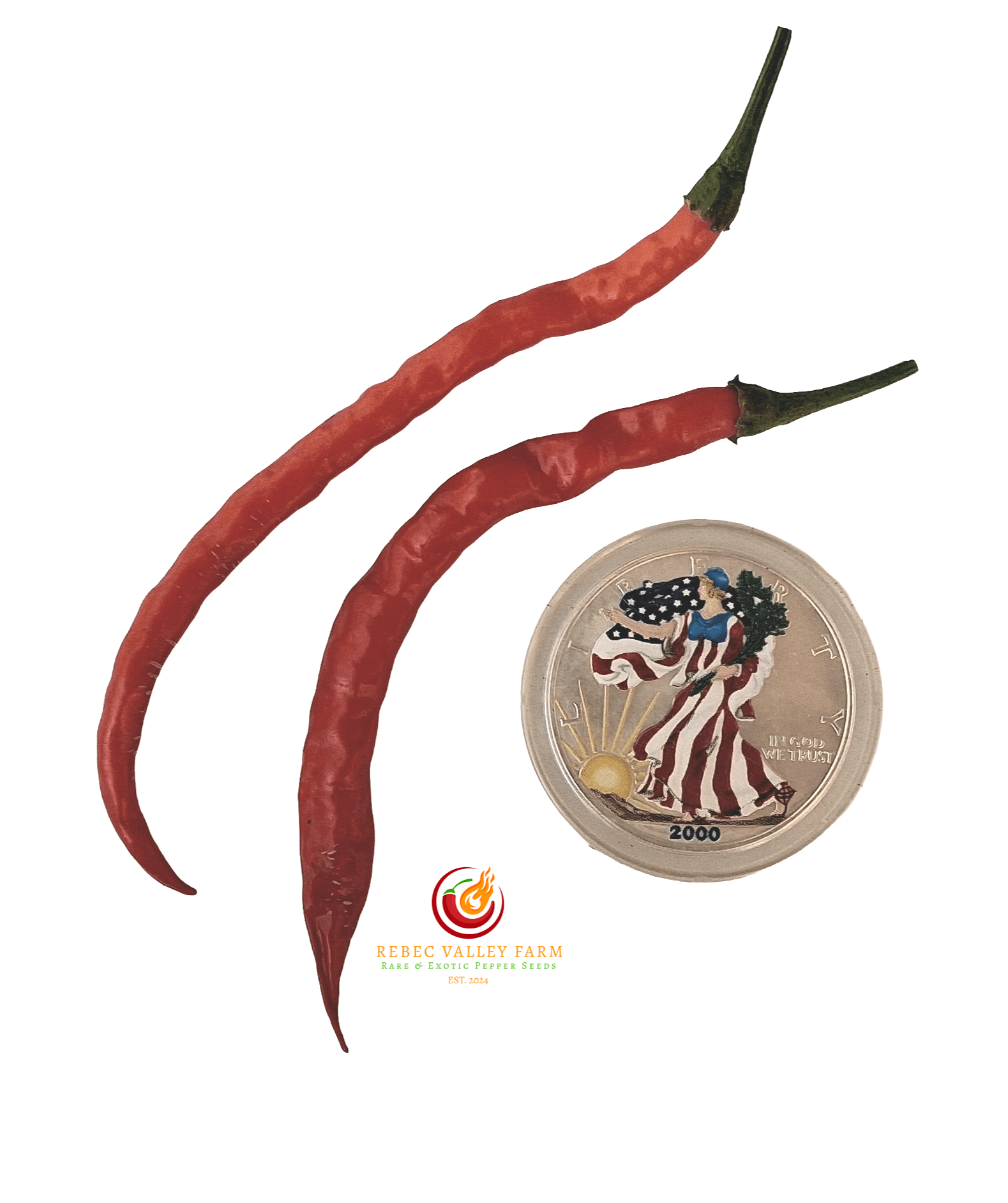 Himo Togarashi Pepper