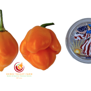 Jabba the Hutt Pepper