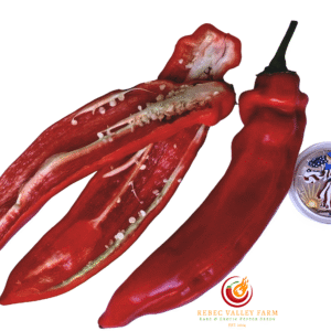 Jalapeno Chernobyl Pepper