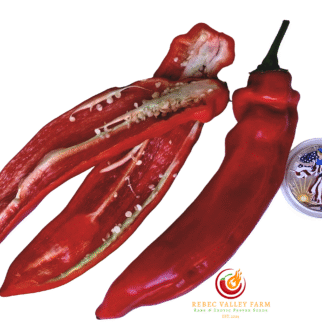 Jalapeno Chernobyl Pepper