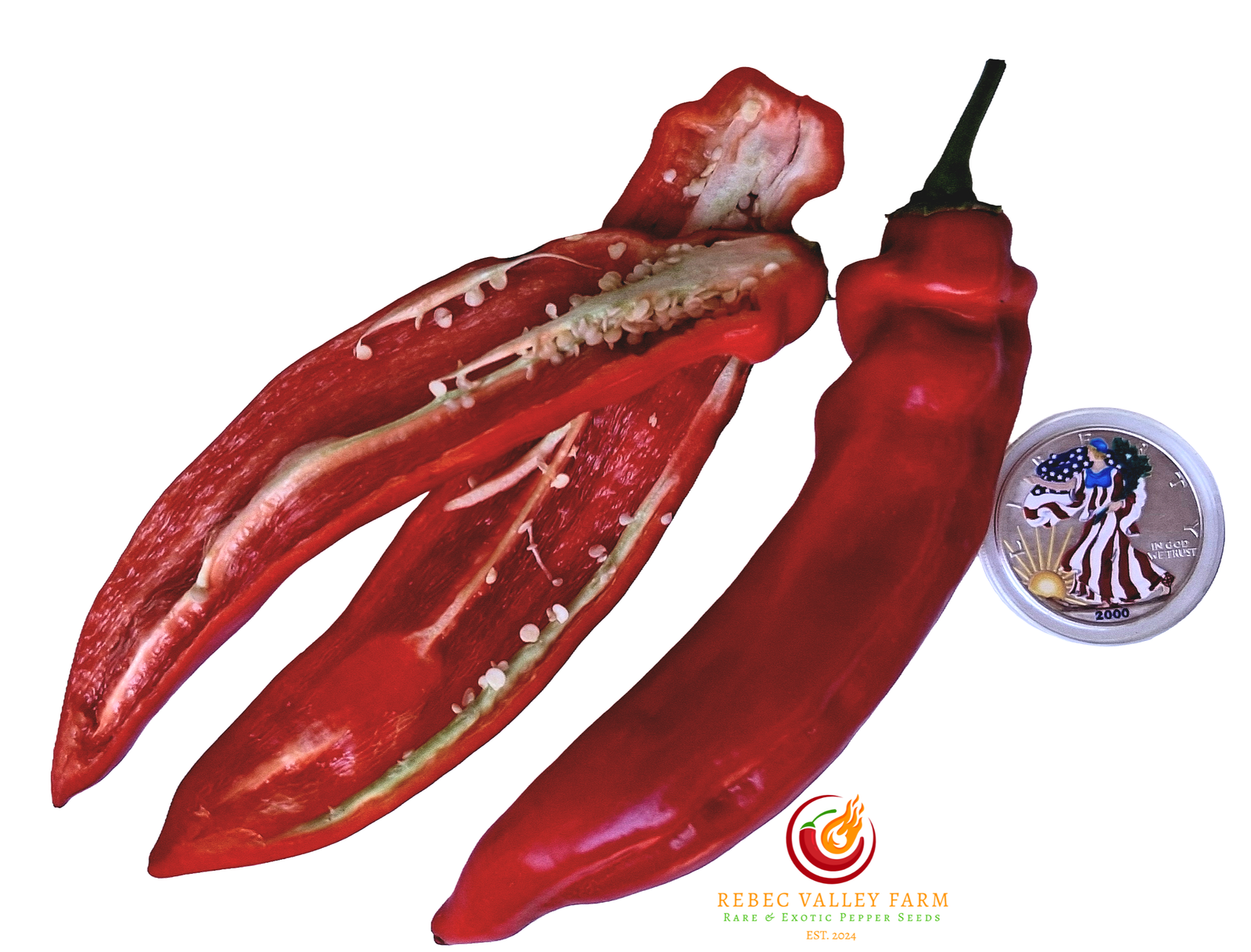 Jalapeno Chernobyl Pepper