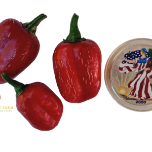 Knight's Arch Angel Pepper