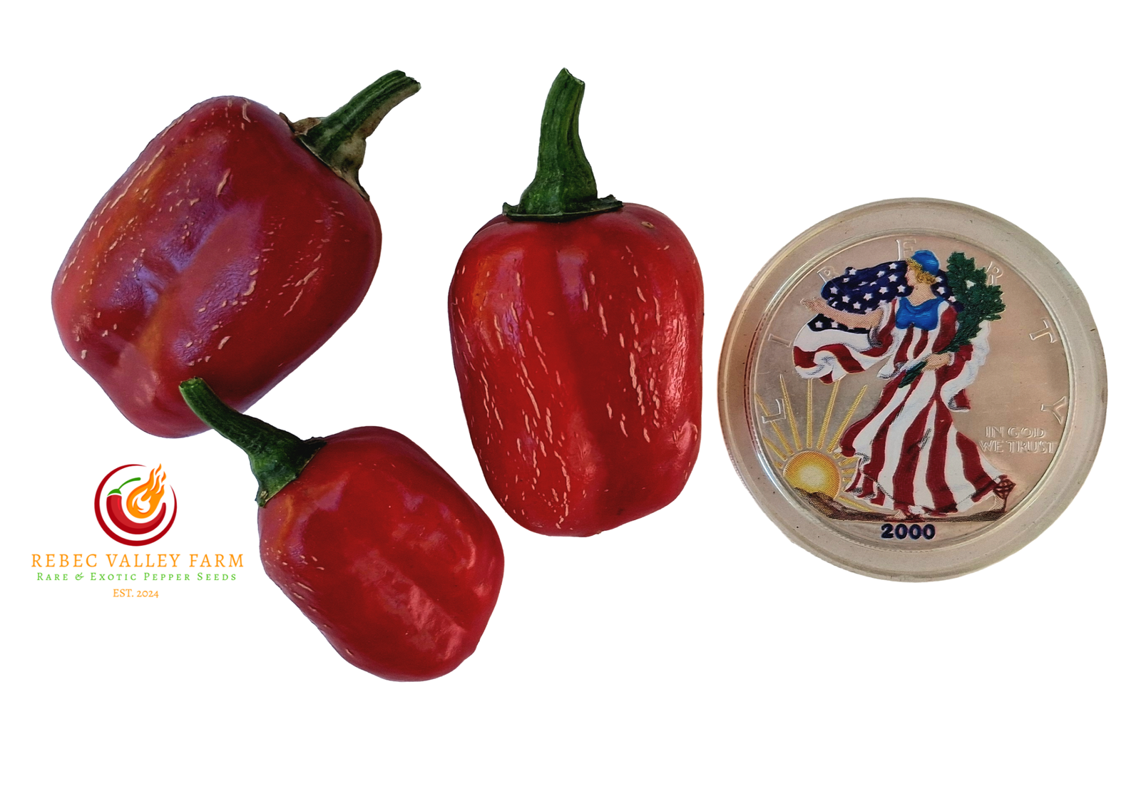 Knight's Arch Angel Pepper