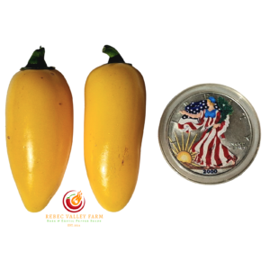 Lemon Spice Jalapeno Pepper