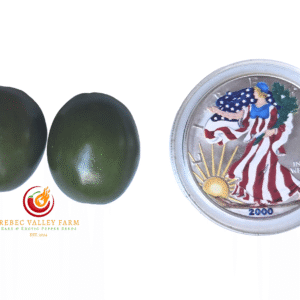 Mini Olive Rocoto Pepper