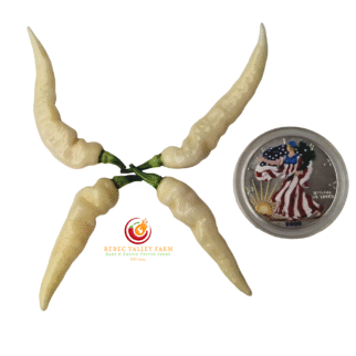 Murupi Amarela White Pepper